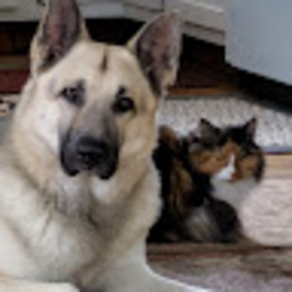 Meet your Posher, Chris - Picture 1 of 1